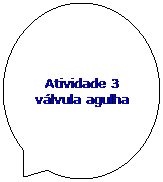 Texto explicativo em elipse: Atividade 3 vlvula agulha
